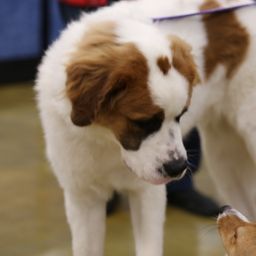 photograph by PeterW